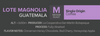 Lote Magnolia - One Year Subscription